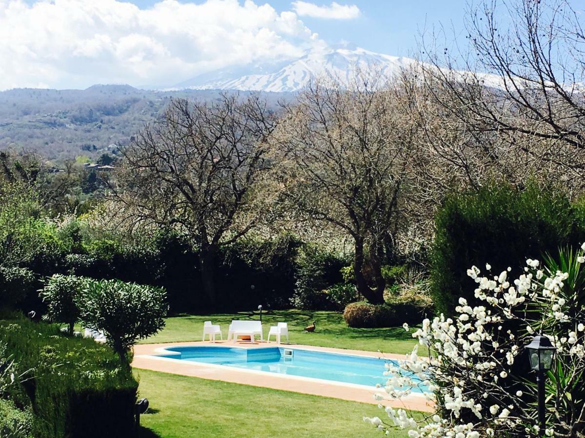 Bed And Breakfast Il Glicine Piedimonte Etneo Exterior foto